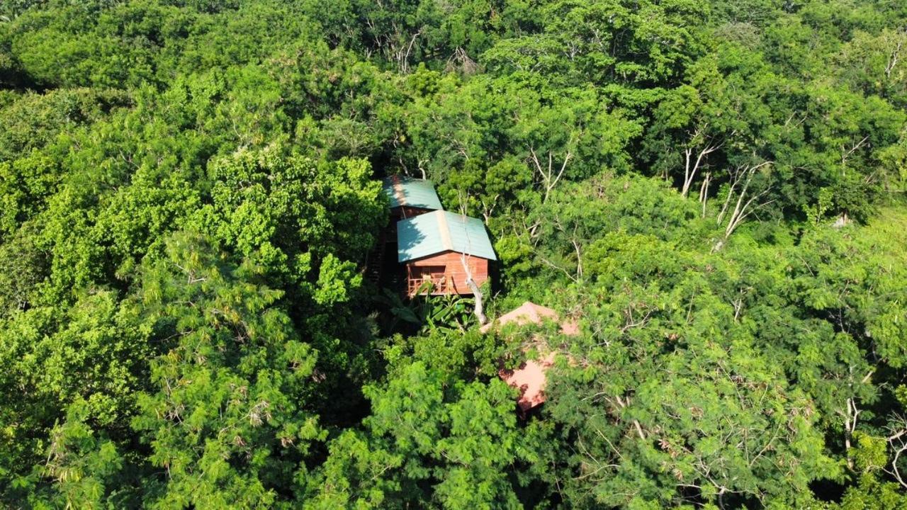 Tree House Hostel Sigiriya Luaran gambar