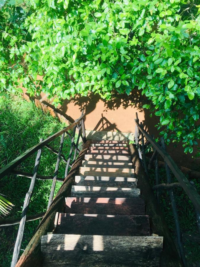 Tree House Hostel Sigiriya Luaran gambar