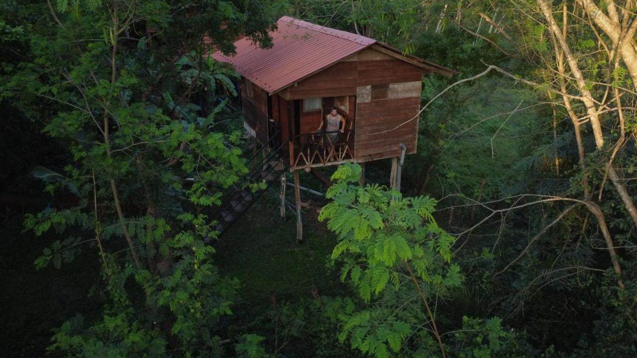 Tree House Hostel Sigiriya Luaran gambar