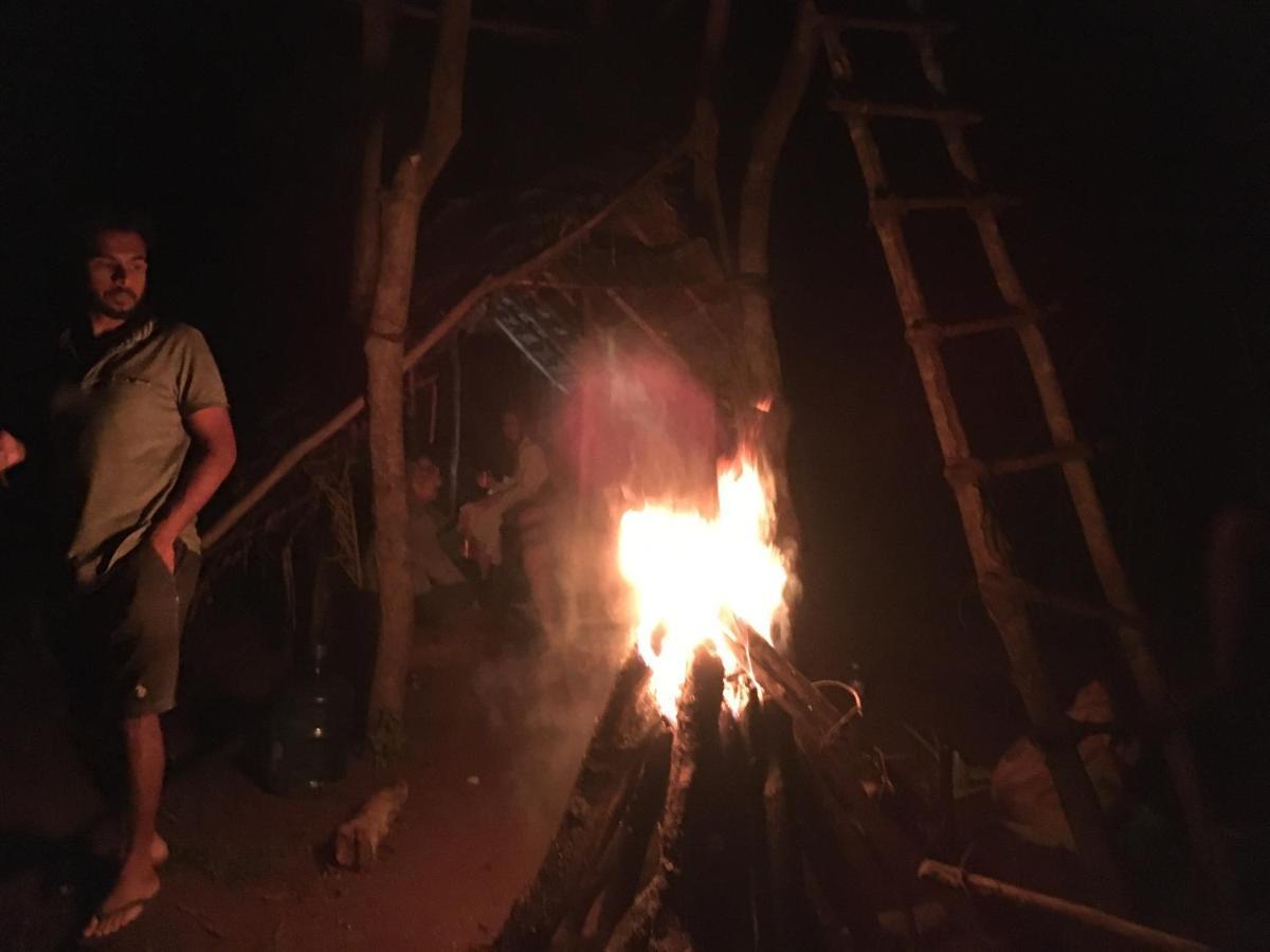 Tree House Hostel Sigiriya Luaran gambar