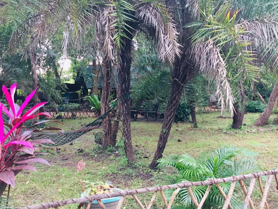 Tree House Hostel Sigiriya Luaran gambar