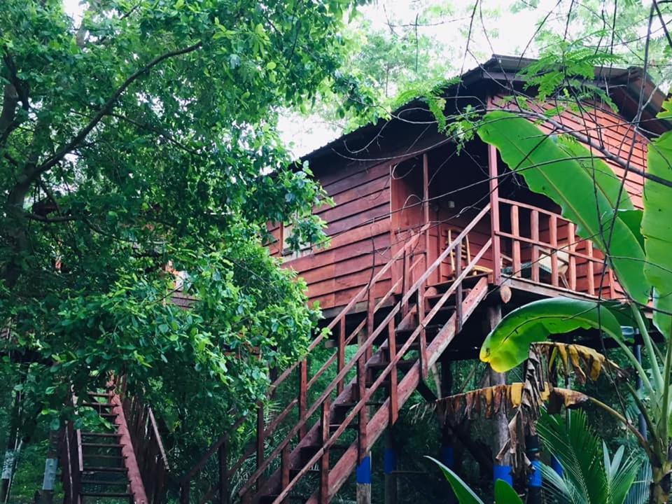 Tree House Hostel Sigiriya Luaran gambar